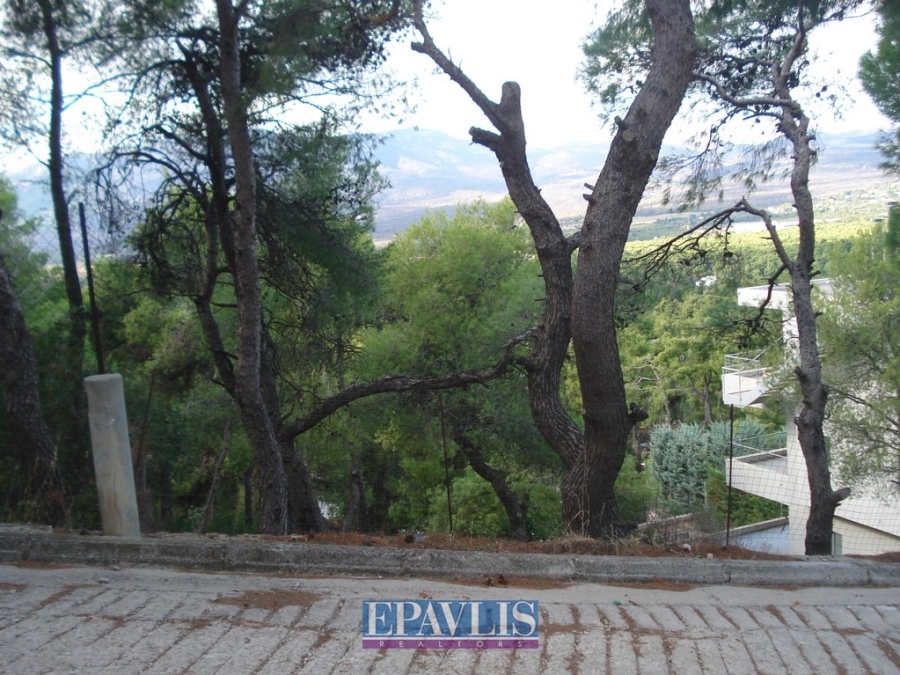 Πώληση οικοπέδου, Αττική, Αθήνα Βόρεια, Εκάλη, #1438519, μεσιτικό γραφείο Epavlis Realtors.