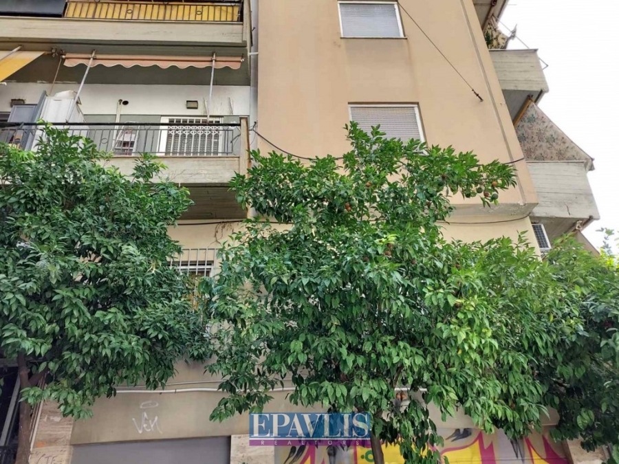 Πώληση κατοικίας, Αττική, Αθήνα Κέντρο, Καισαριανή, #1439211, μεσιτικό γραφείο Epavlis Realtors.