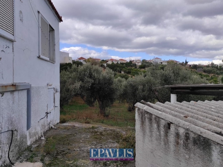 Πώληση κατοικίας, Στερεά Ελλάδα, Ν. Εύβοιας, Στύρα, #1458302, μεσιτικό γραφείο Epavlis Realtors.