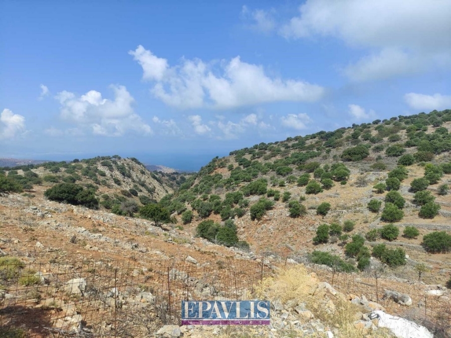 Πώληση οικοπέδου, Κρήτη, Ν. Λασιθίου, Άγιος Νικόλαος, #1533733, μεσιτικό γραφείο Epavlis Realtors.