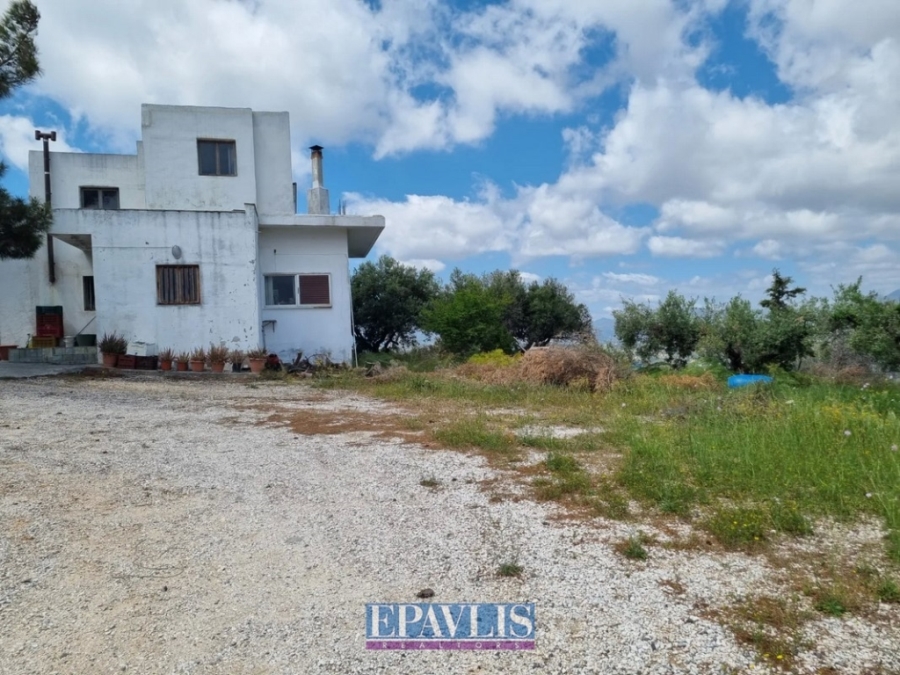 Πώληση κατοικίας, Κρήτη, Ν. Ηρακλείου, Ηράκλειο, #1554368, μεσιτικό γραφείο Epavlis Realtors.