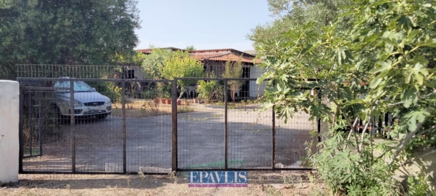 Πώληση οικοπέδου, Κεντρική Μακεδονία, Ν. Χαλκιδικής, Τρίγλια, #1602590, μεσιτικό γραφείο Epavlis Realtors.