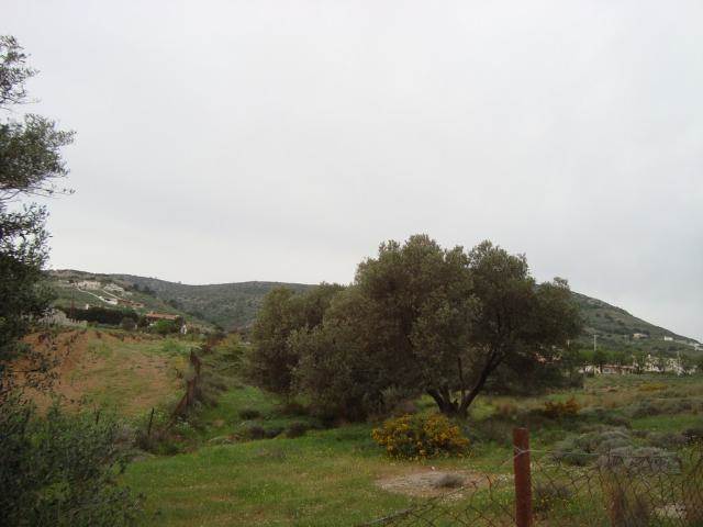127057, (For Sale) Land Agricultural Land  || East Attica/Keratea - 5.600 Sq.m, 150.000€