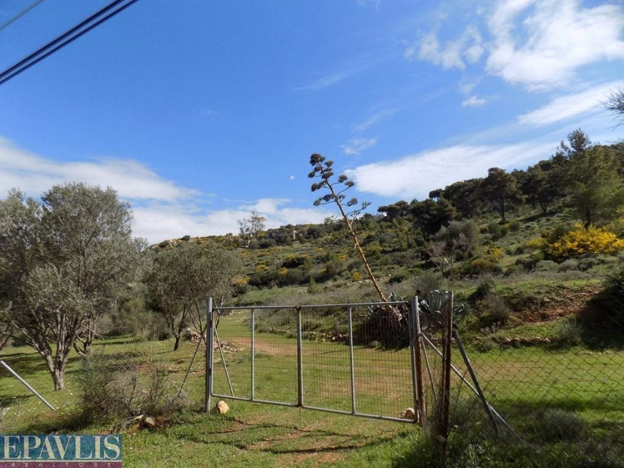 491889, (For Sale) Land Agricultural Land  || East Attica/Kalyvia-Lagonisi - 7.650 Sq.m, 350.000€