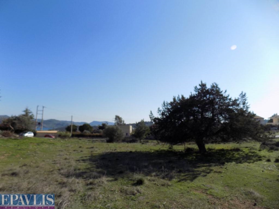 528840, (For Sale) Land Agricultural Land  || East Attica/Anavyssos - 1.015 Sq.m, 110.000€