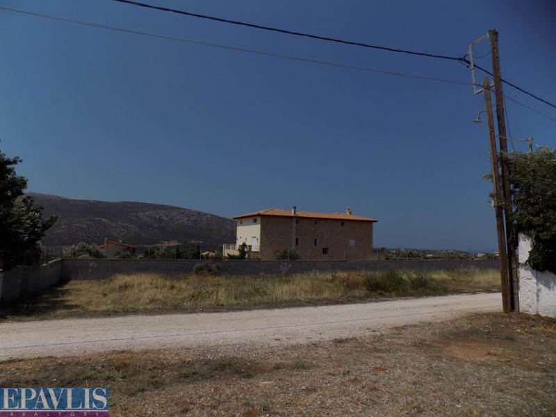 579902, (For Sale) Land Agricultural Land  || East Attica/Kalyvia-Lagonisi - 650 Sq.m, 50.000€