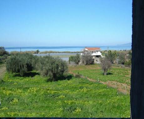 Πώληση κατοικίας, Πελοπόννησος, Ν. Μεσσηνίας, Κυπαρισσία, #426993, μεσιτικό γραφείο Epavlis Realtors.